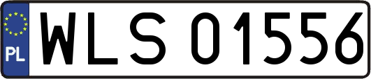 WLS01556