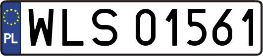 WLS01561