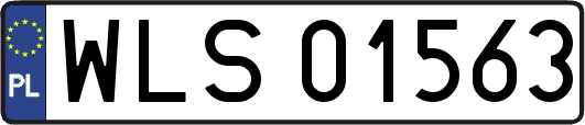 WLS01563