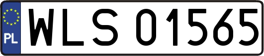 WLS01565