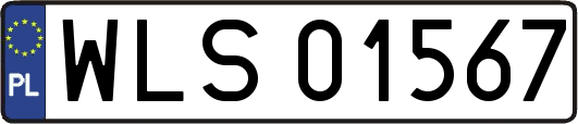 WLS01567