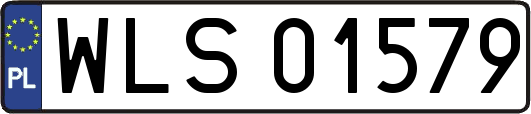 WLS01579