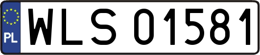 WLS01581
