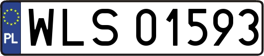 WLS01593