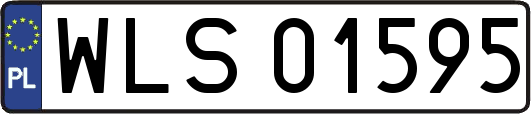 WLS01595