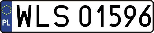 WLS01596