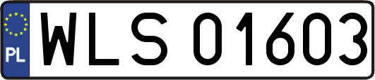 WLS01603