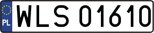 WLS01610