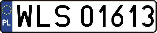 WLS01613