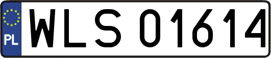 WLS01614
