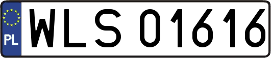 WLS01616