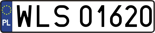 WLS01620
