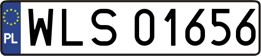 WLS01656