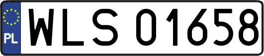 WLS01658