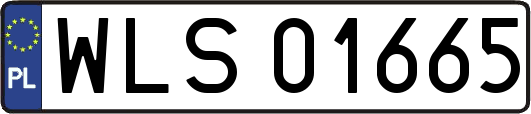 WLS01665
