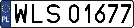 WLS01677
