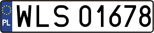 WLS01678