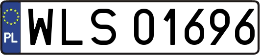 WLS01696