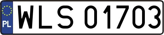 WLS01703