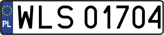 WLS01704