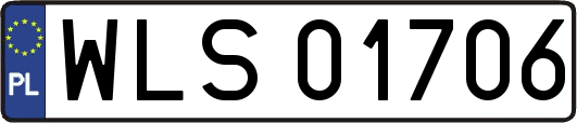 WLS01706