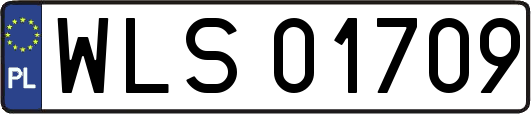 WLS01709