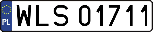 WLS01711
