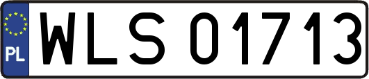WLS01713