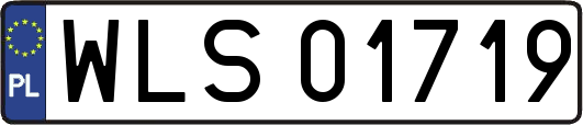 WLS01719