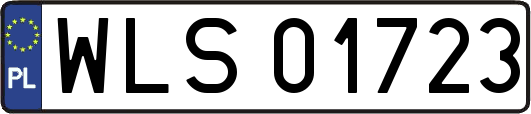 WLS01723