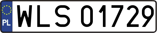 WLS01729