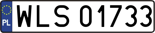 WLS01733