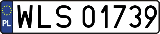 WLS01739
