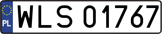WLS01767
