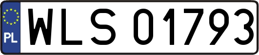 WLS01793