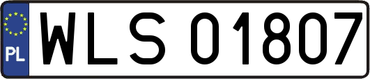 WLS01807