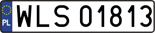WLS01813