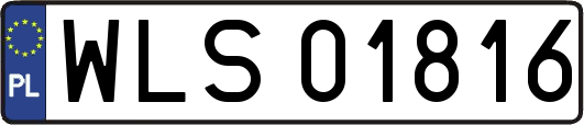 WLS01816