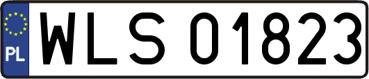 WLS01823
