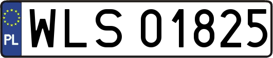WLS01825