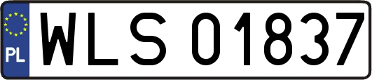 WLS01837