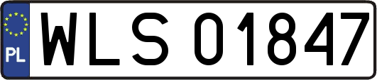WLS01847