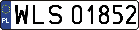 WLS01852