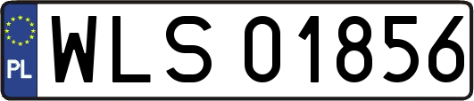 WLS01856