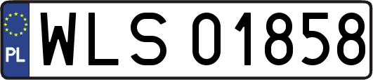 WLS01858