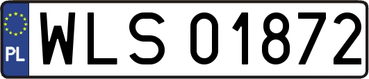 WLS01872