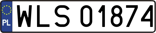 WLS01874