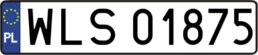 WLS01875