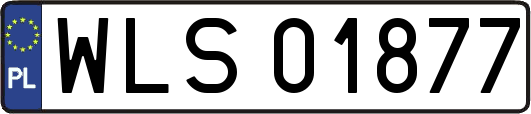 WLS01877