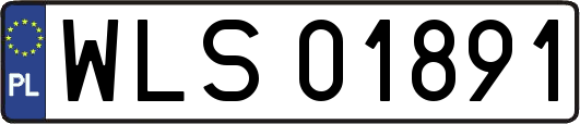 WLS01891